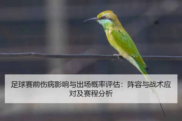 足球赛前伤病影响与出场概率评估：阵容与战术应对及赛程分析