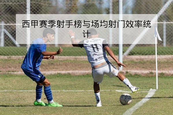 中超球队赛季主客场得分分布统计